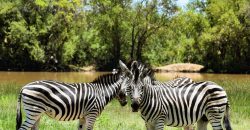 PRM068: Siyanda Lodge