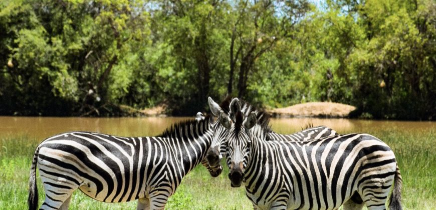 PRM068: Siyanda Lodge