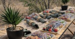 PRM068: Siyanda Lodge