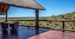 PRM056: Zazu’s Perch
