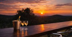 PRM141- enjoy the view