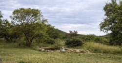 PRM141- enjoy the view