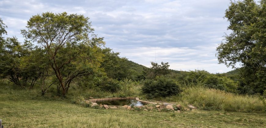 PRM141- enjoy the view